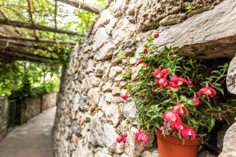 Agriturismo La Selva Hotel Finale Ligure Eksteriør billede