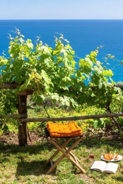 Agriturismo La Selva Hotel Finale Ligure Eksteriør billede