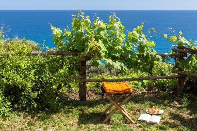 Agriturismo La Selva Hotel Finale Ligure Eksteriør billede