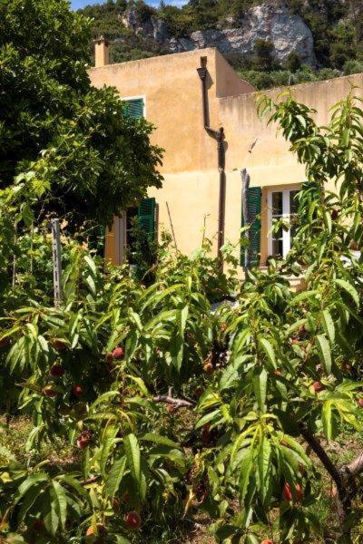 Agriturismo La Selva Hotel Finale Ligure Eksteriør billede
