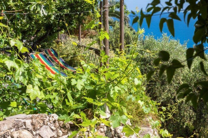 Agriturismo La Selva Hotel Finale Ligure Eksteriør billede